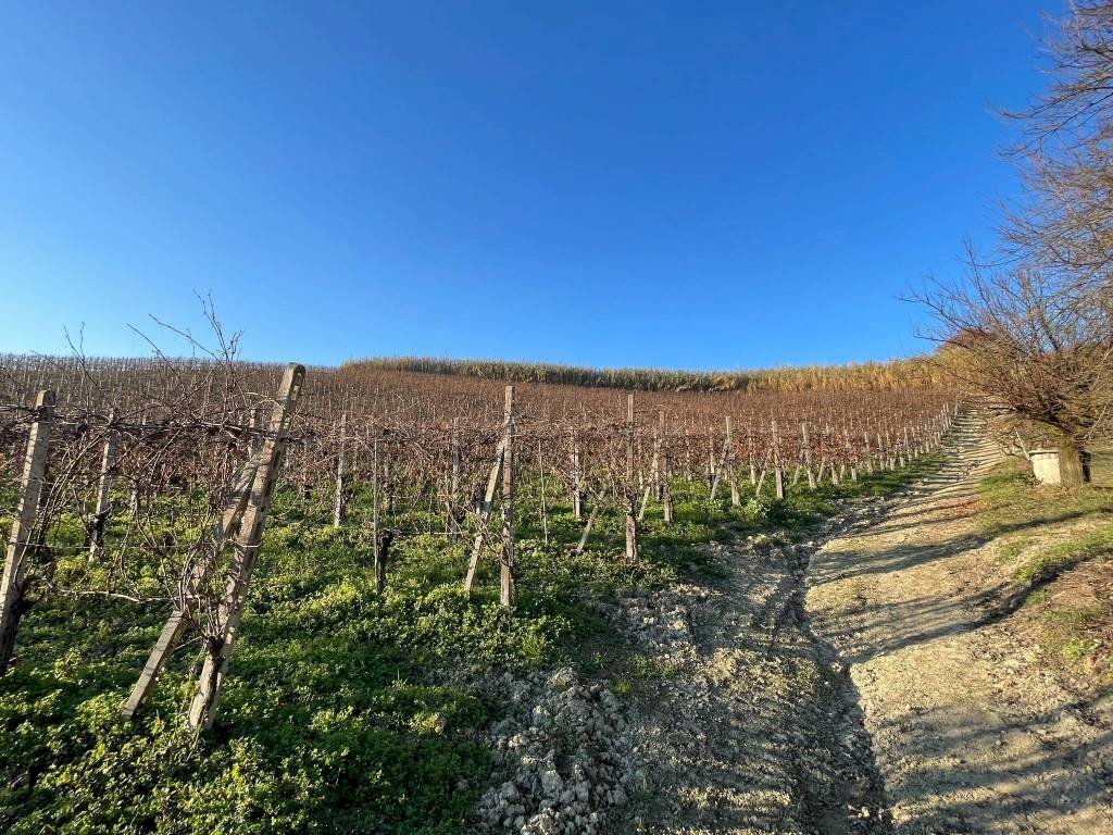 Terreno - Rustico Regione Antignano, Alice Bel Colle - foto 2