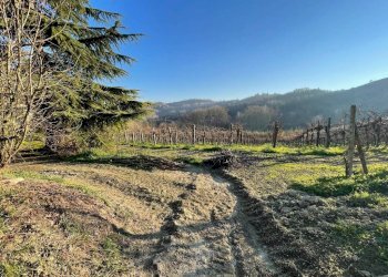 Terreno - Rustic Regione Antignano, Alice Bel Colle - photo 6