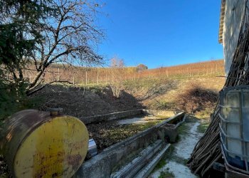 Terreno - Rustic Regione Antignano, Alice Bel Colle - photo 7