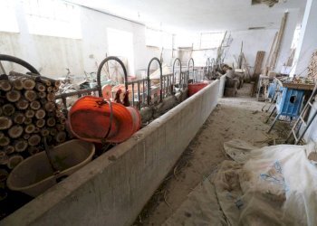 Altro - Rustic Regione Antignano, Alice Bel Colle - photo 22