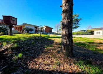 Terreno - Villa Collecchio - photo 1