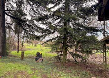 Foto 24 - Rustic via dei mille
 
132, Castelfranco Emilia - photo 24