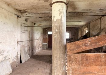 Foto 27 - Rustic via dei mille
 
132, Castelfranco Emilia - photo 27