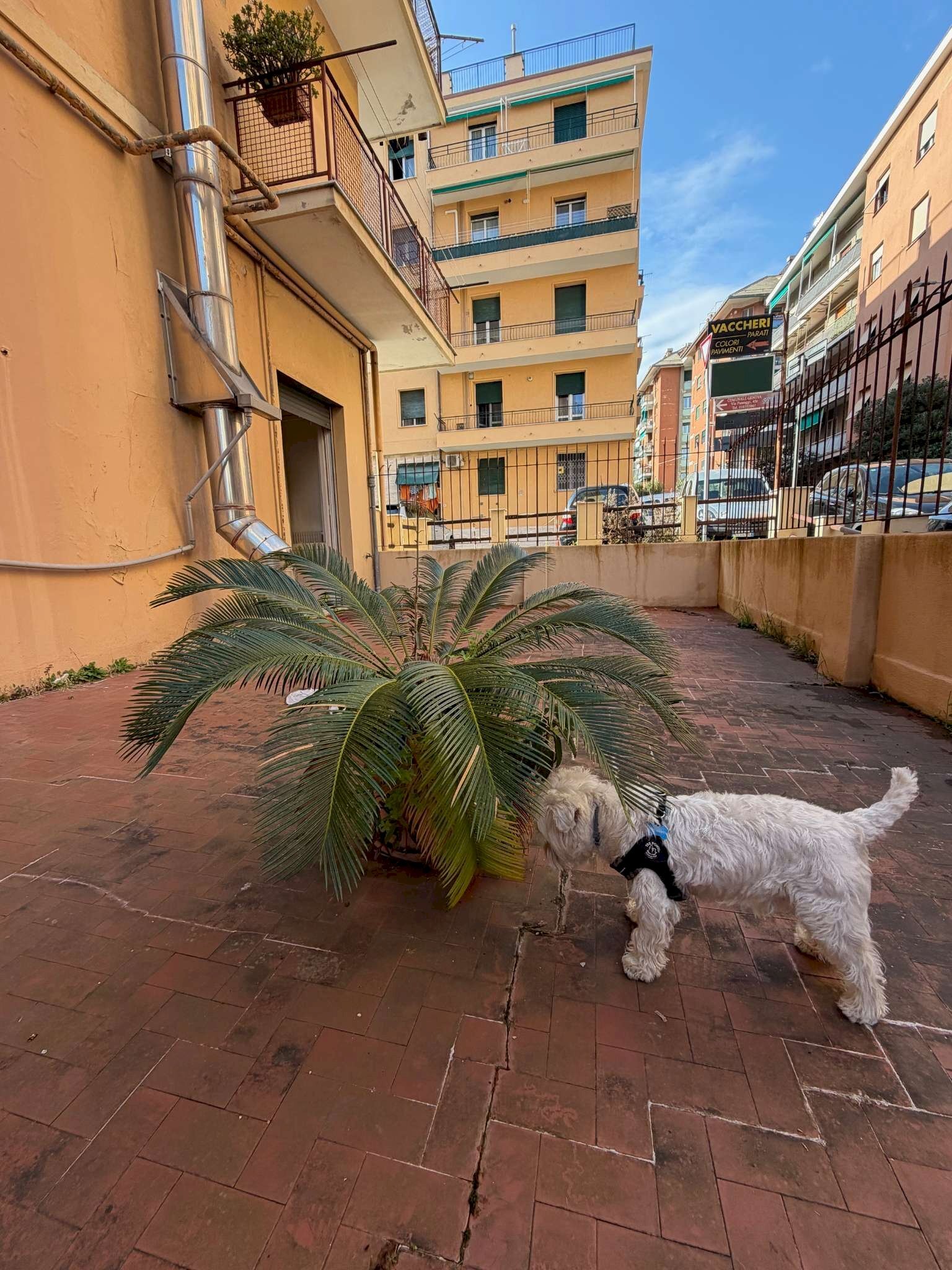 img_0684 - Bilocale via Annibale Passaggi, Genova (zona San Martino) - foto 3