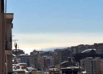 whatsapp image 2026-02-16 at 16.31.42 - Trilocale via Capri, Genova (zona Oregina) - foto 11