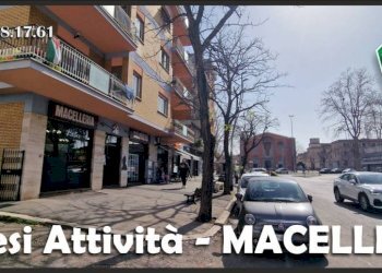 Zona - Food - Gastronomy via dei Castani, 12, Roma - photo 2