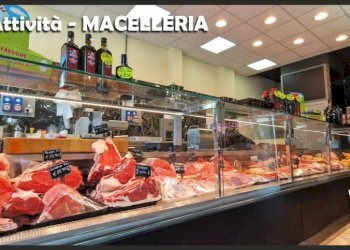 Interno non residenziale - Food - Gastronomy via dei Castani, 12, Roma - photo 3