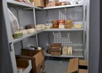 Magazzino - Food - Gastronomy via dei Castani, 12, Roma - photo 19