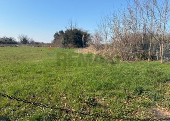 Giardino - Building land VIA ROVAREDO
 
30, Pasian di Prato - photo 9