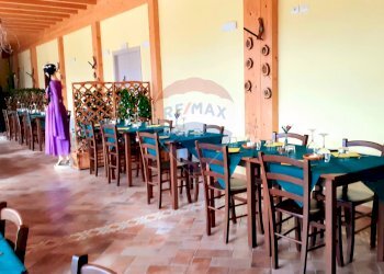 Sala da pranzo - Agriturismo argine secchia sud
20, Quistello - photo 5