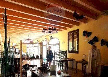 Palestra - Agriturismo argine secchia sud
20, Quistello - photo 23