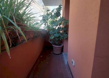 Foto 26 - Apartment VIA DELLE ROSE, Pianoro - photo 26