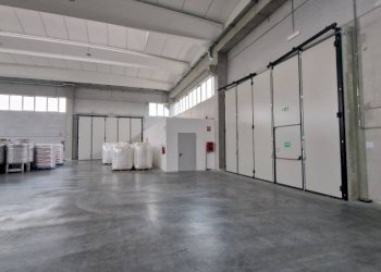 Magazzino - Capannone via Cesare Battisti, Pogliano Milanese - foto 11