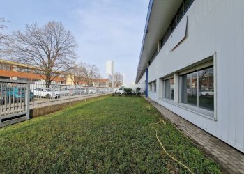 Giardino - Capannone via Vialba, Novate Milanese - foto 2