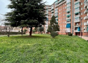 Giardino - Appartamento via Francesco Saverio Nitti, 30, Torino (zona Mirafiori Nord) - foto 5