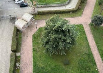 Giardino - Appartamento via Francesco Saverio Nitti, 30, Torino (zona Mirafiori Nord) - foto 11