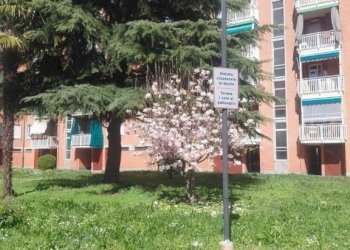 Giardino - Appartamento via Francesco Saverio Nitti, 30, Torino (zona Mirafiori Nord) - foto 32