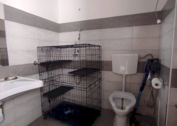 Foto 14 - Casa indipendente via Nino Bixio
 
137, Maddaloni - foto 14