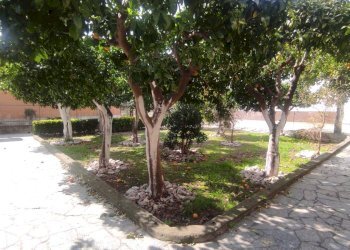 Foto 28 - Casa indipendente via Nino Bixio
 
137, Maddaloni - foto 28