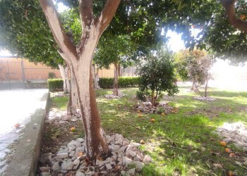 Foto 55 - Casa indipendente via Nino Bixio
 
137, Maddaloni - foto 55