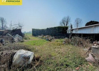 Terreno - Rustico via Moniego Centro, 35, Noale - foto 5