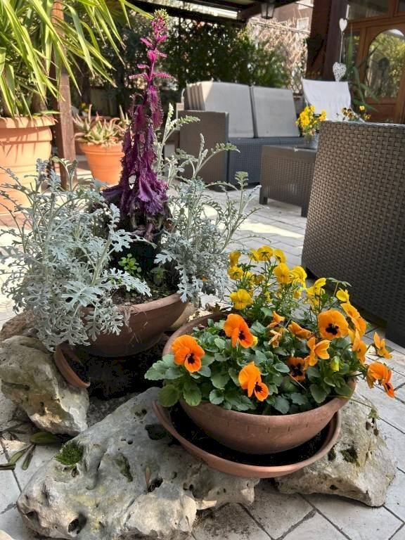 Giardino - Attic Bologna (neighborhood Mazzini) - photo 1