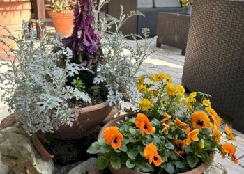 Giardino - Attic Bologna (neighborhood Mazzini) - photo 1