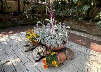 Giardino - Attic Bologna (neighborhood Mazzini) - photo 2