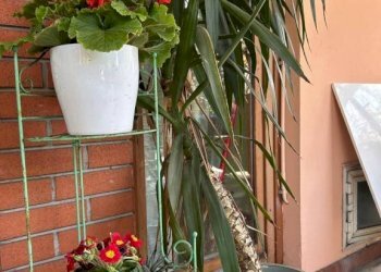 Giardino - Attic Bologna (neighborhood Mazzini) - photo 5