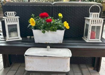 Terrazzo - Attic Bologna (neighborhood Mazzini) - photo 6