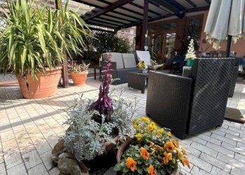 Giardino - Attic Bologna (neighborhood Mazzini) - photo 19