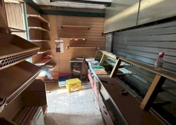 Box auto - Negozio Bologna (zona Massarenti) - foto 4