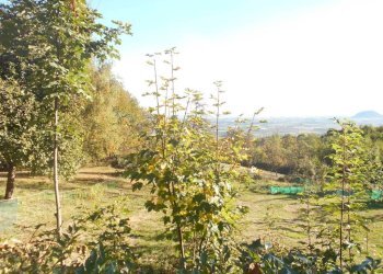 Terreno - Rustico via Gaia, 4, Bagnolo Piemonte - foto 26