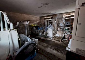 img20260303170204 - Farmhouse via della bassa, Cremosano - photo 6