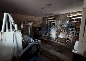 img20260303170213 - Farmhouse via della bassa, Cremosano - photo 8