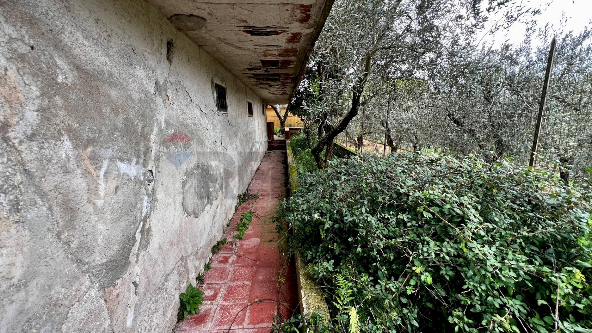 Giardino - Villa via sp1
 
km 12, Monreale - photo 2