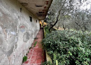 Giardino - Villa via sp1
 
km 12, Monreale - photo 2