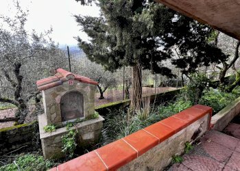 Giardino - Villa via sp1
 
km 12, Monreale - photo 6