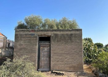 Casa all\'aperto - Terreno agricolo via francesco cilea
 
1, Villabate - foto 7