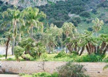 Giardino - Commercial Premises Via Don Luigi Sturzo
224, Carini - photo 21