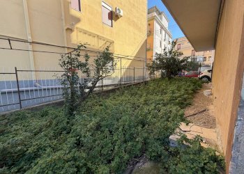 Giardino - Magazzino Via Giuseppe Giusti
 
20, Carini - foto 8