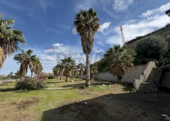 Giardino - Stabile - Palazzo S.S. 113 KM 199
 
snc, Campofelice di Roccella - foto 6