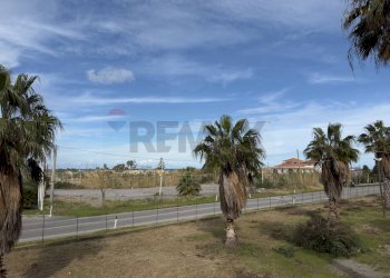 Giardino - Stabile - Palazzo S.S. 113 KM 199
 
snc, Campofelice di Roccella - foto 9