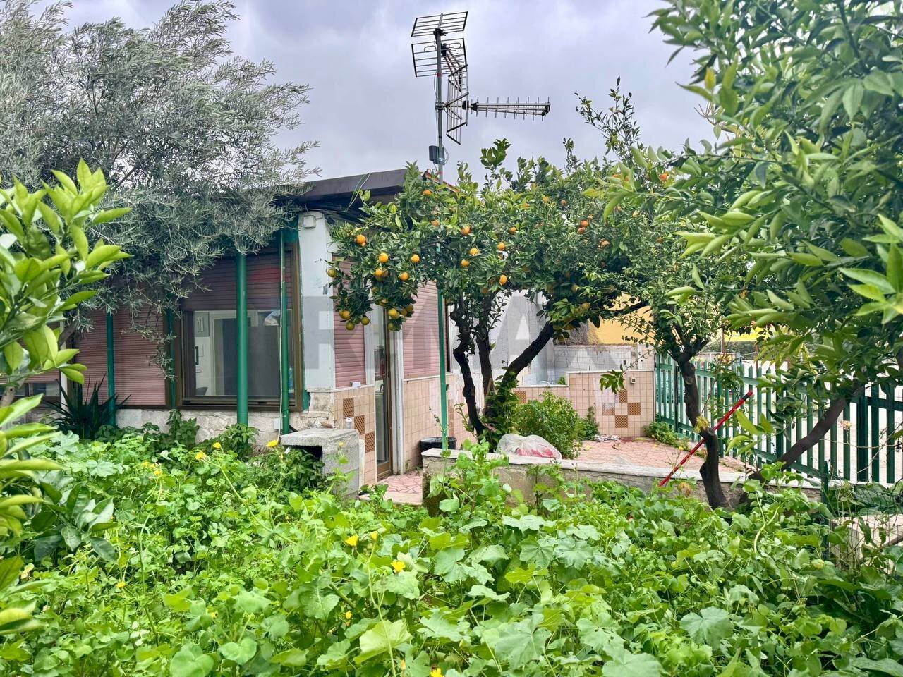 Giardino - Villa a Schiera Via Capinere
 
14/B, Carini - foto 3