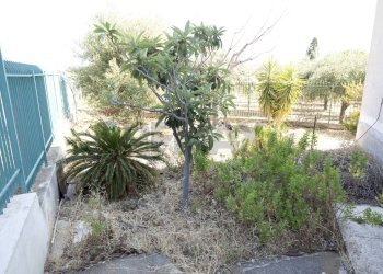 Giardino - Villa Casteldaccia - photo 34