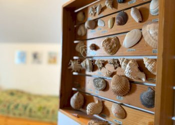 Foto 30 - Attico Viale Monte Sirente
 
17, Francavilla al Mare - foto 30