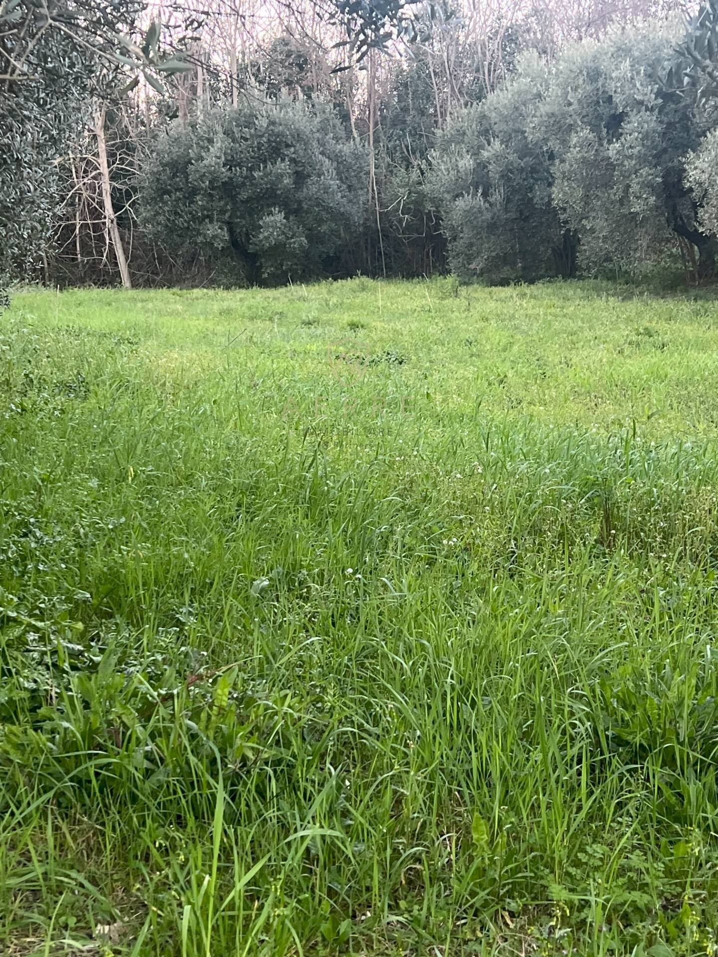 Foto 3 - Building land Via Astignano, Cepagatti - photo 3