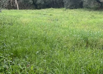 Foto 3 - Building land Via Astignano, Cepagatti - photo 3