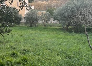 Foto 5 - Building land Via Astignano, Cepagatti - photo 5