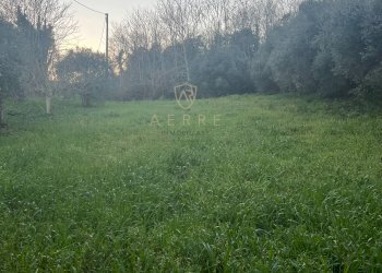 Foto 9 - Building land Via Astignano, Cepagatti - photo 9